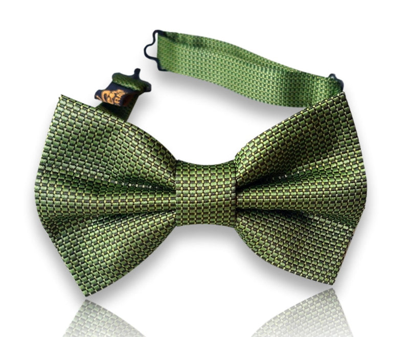 Vilaragut olive and lime green textured silk bow tie