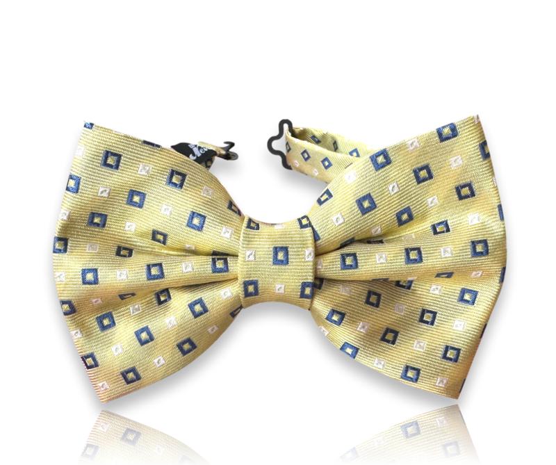 Champagne silk bow tie with navy square neats
