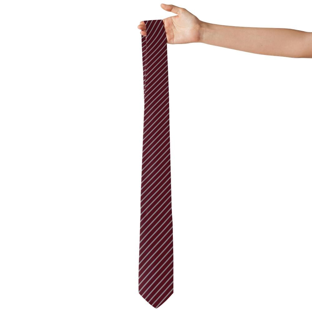 Chabannes tie mockup 4
