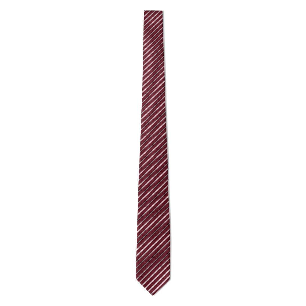 Chabannes tie mockup 5