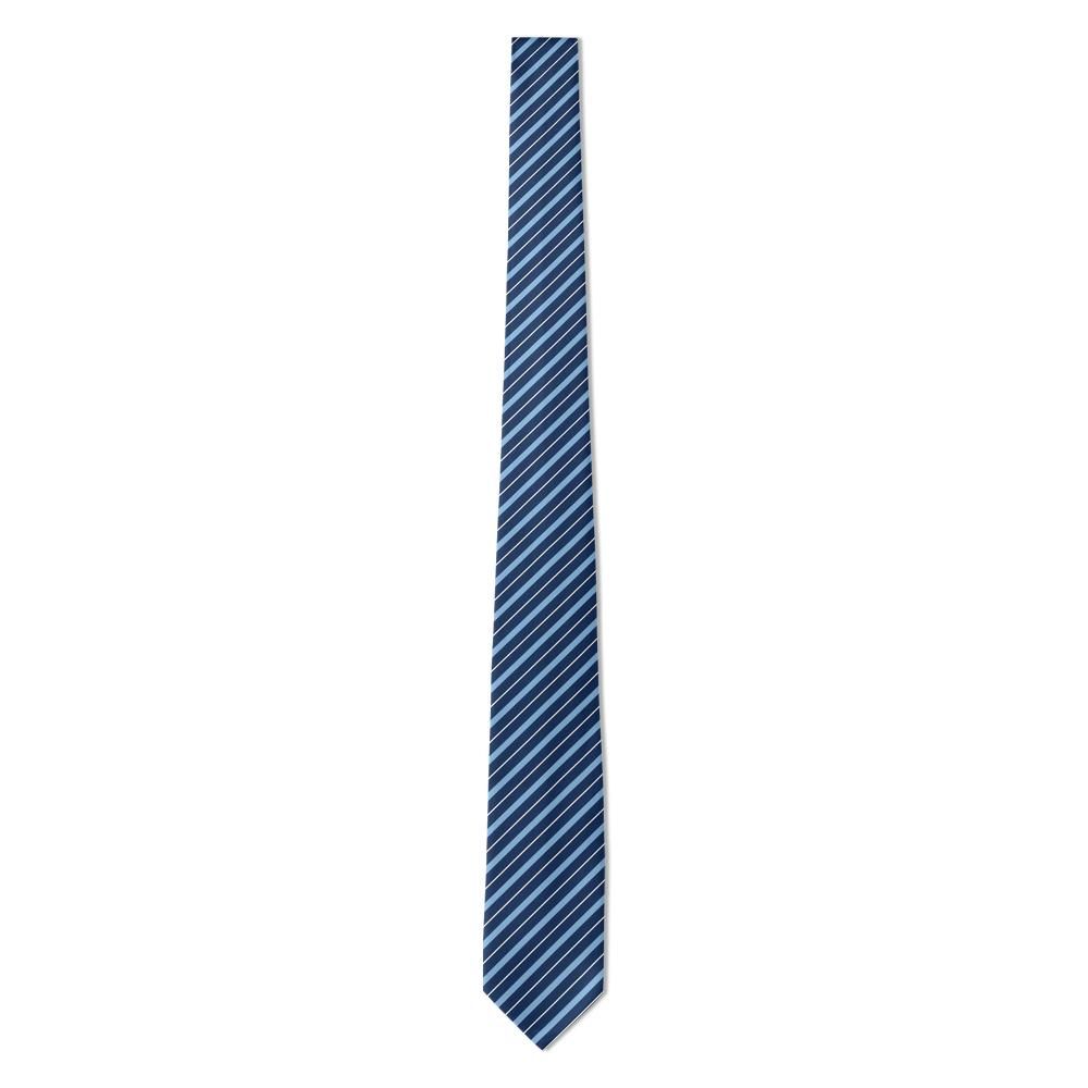 Talleyrand - Navy & Sky Blue Regimental Stripe Necktie – Coastal Poise